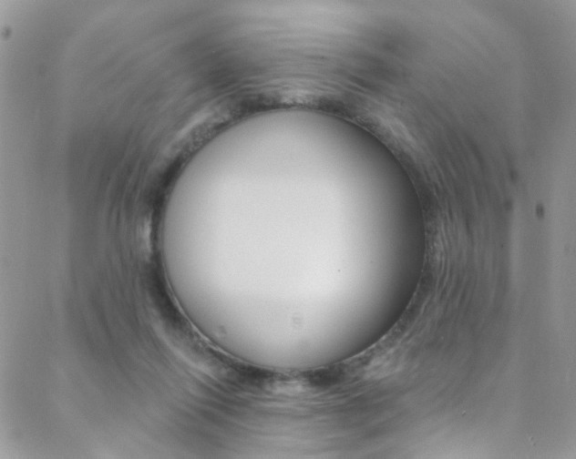 X0000088920262200706080857