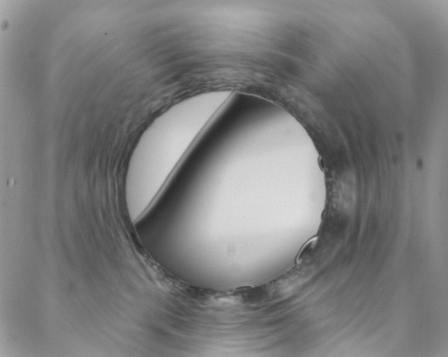 X0000088920283200706080858