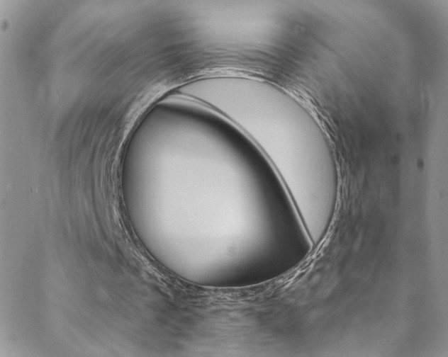 X0000088920289200706080857