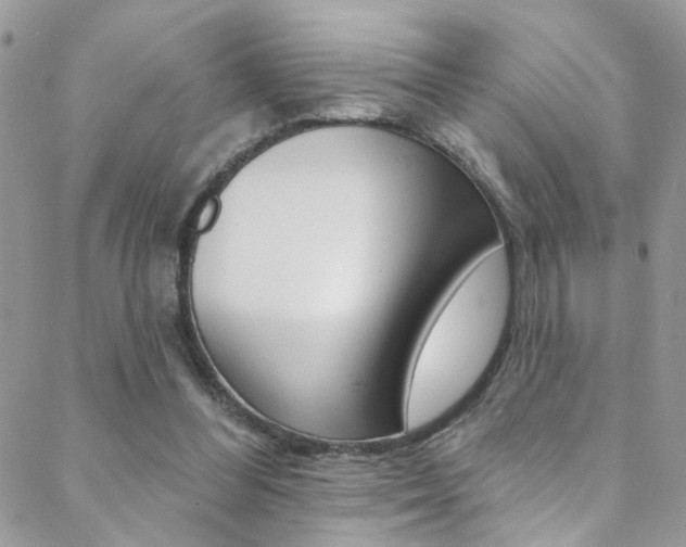 X0000088920300200706080857