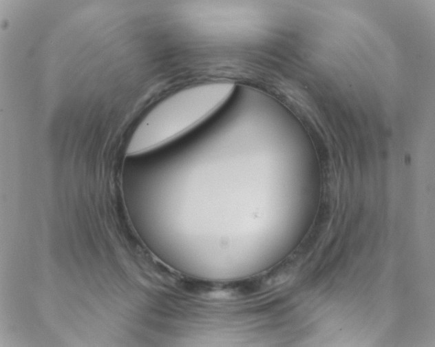 X0000088920312200706080857