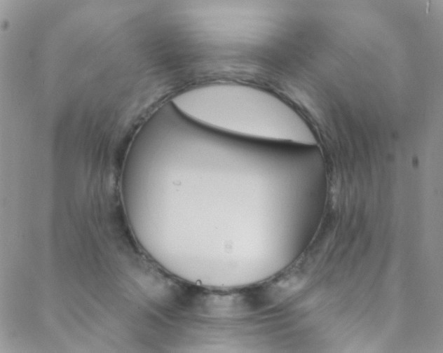 X0000088920314200706080857