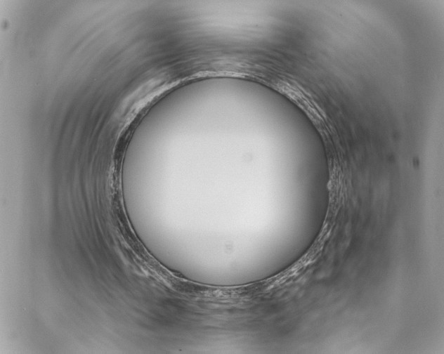 X0000088920338200706080855