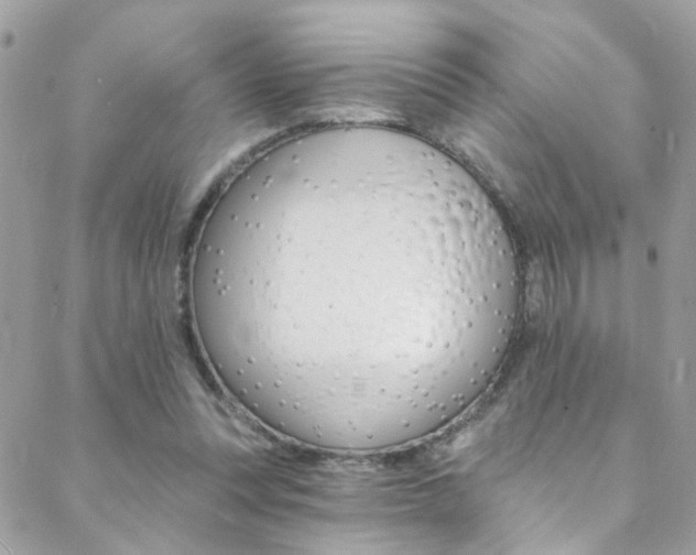 X0000088920351200706080856