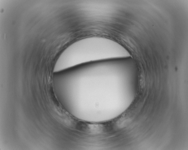 X0000088920371200706080856