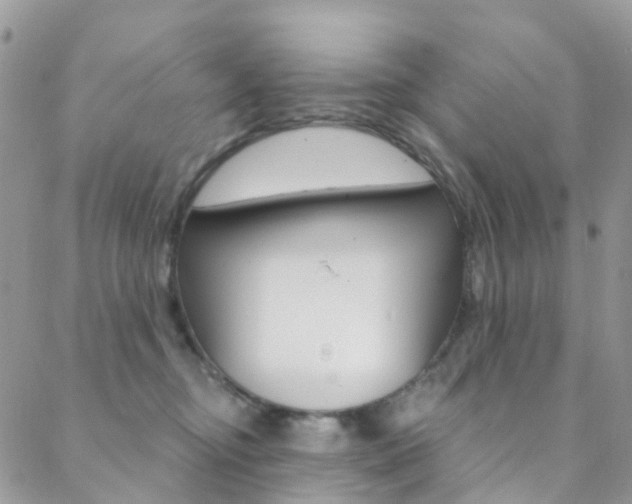 X0000088920374200706080856