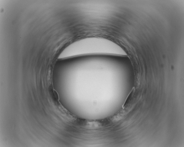 X0000088920376200706080856