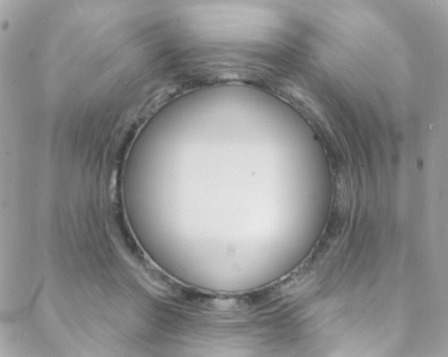 X0000088920406200706080855