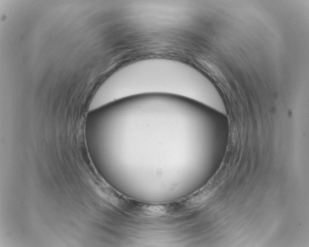 X0000088920409200706080855