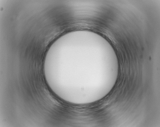 X0000088920411200706080855