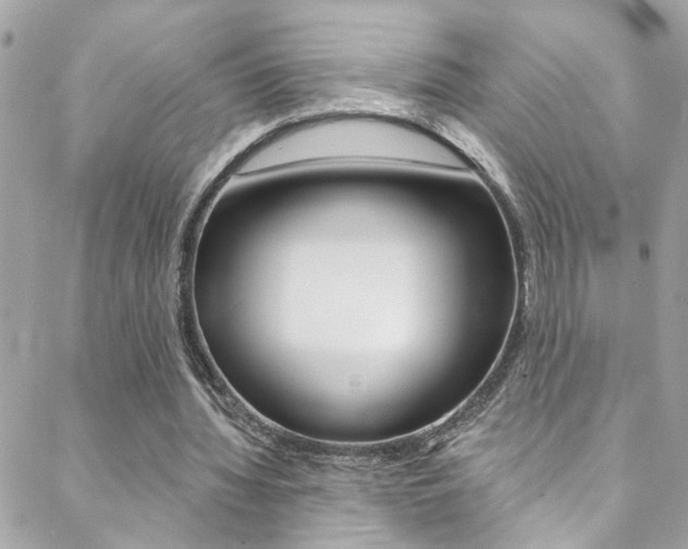 X0000088920436200706080854