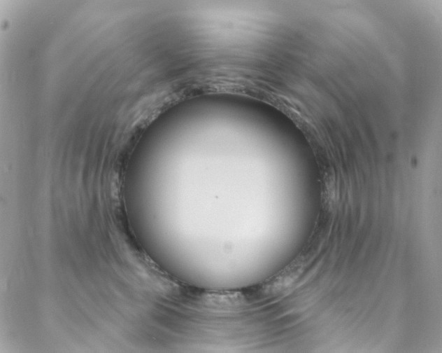 X0000088920571200706080853