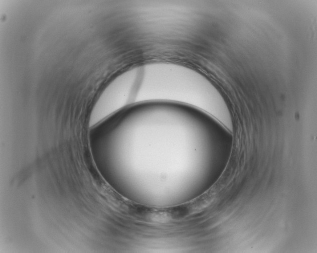 X0000088920604200706080852