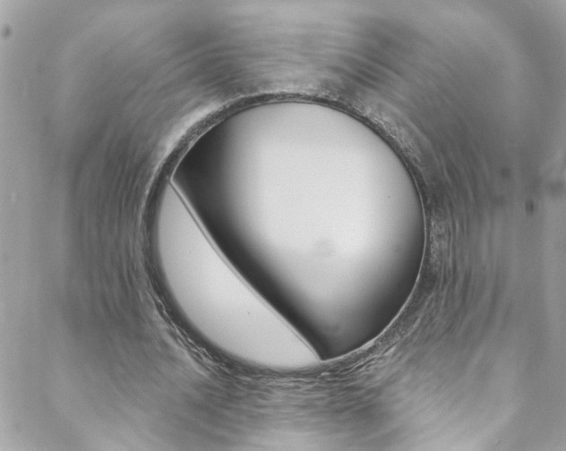 X0000088920628200706080851