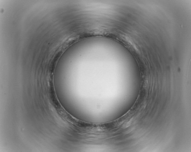 X0000088920643200706080851