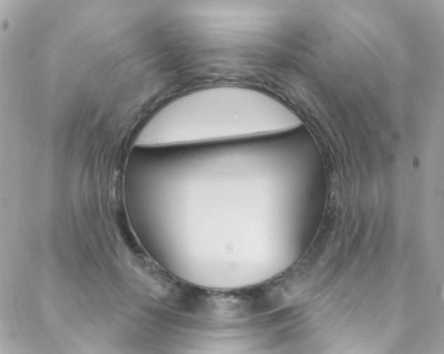 X0000088920650200706080851