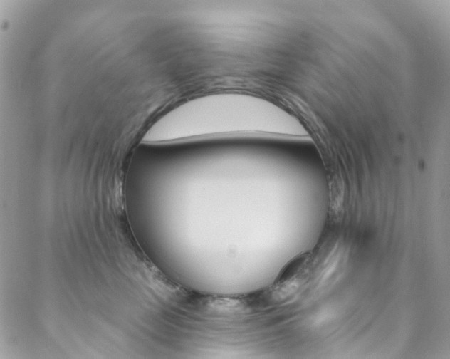 X0000088920669200706080852