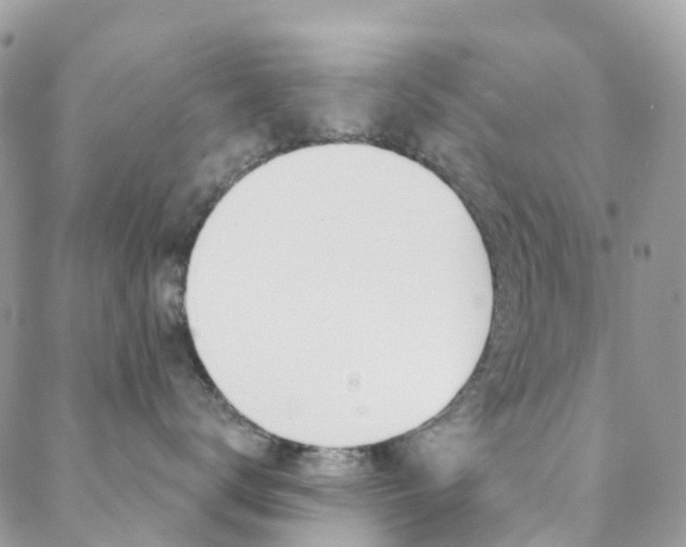 X0000088920672200706080852