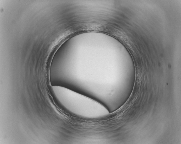 X0000088920674200706080851