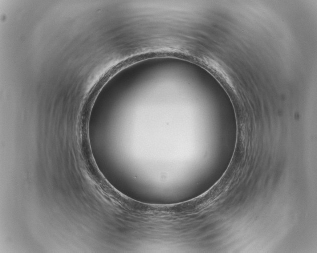X0000088920676200706080851