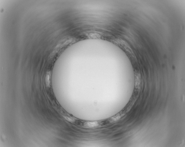 X0000088920717200706080850