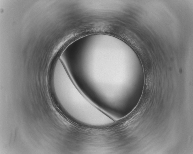 X0000088920722200706080849