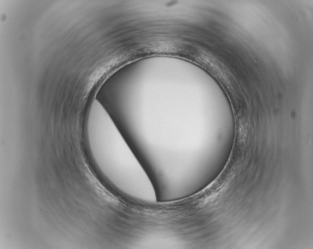 X0000088920725200706080849