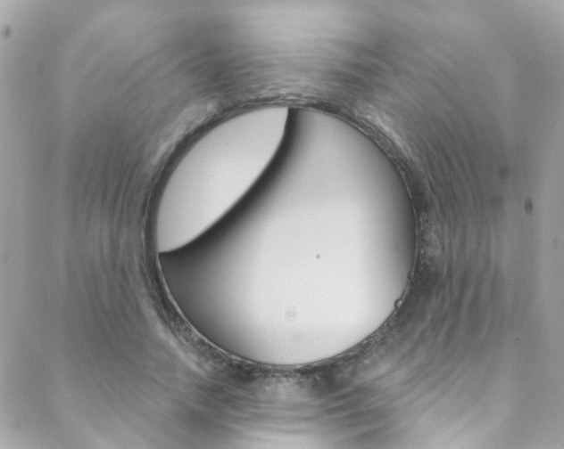 X0000088920738200706080850