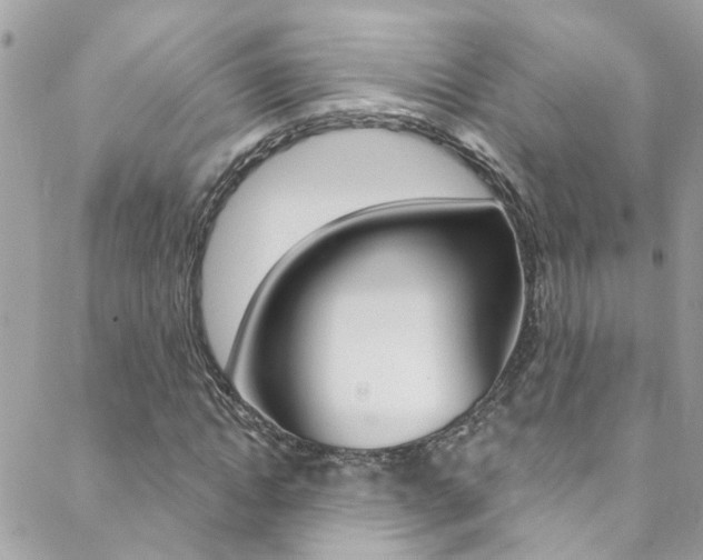 X0000088920822200706080848