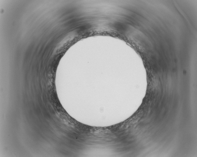 X0000088920824200706080848