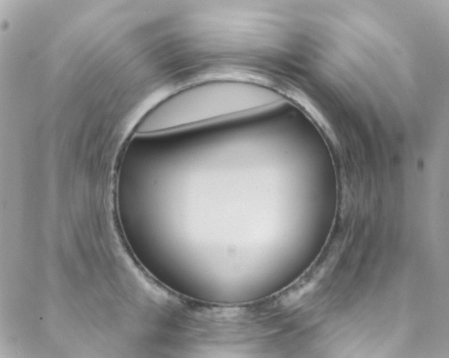 X0000088920853200706080848