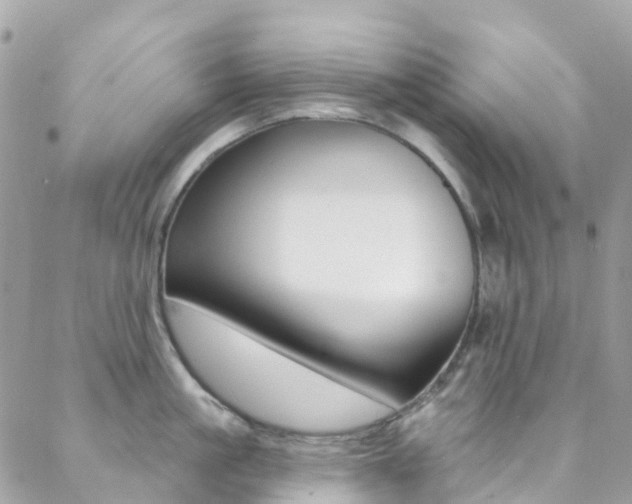 X0000088920861200706080848