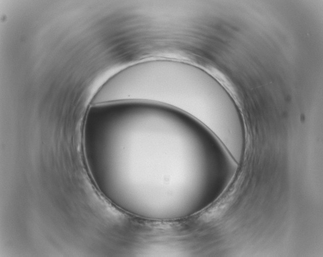 X0000088920862200706080848