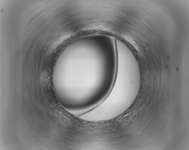 X0000088920872200706080848