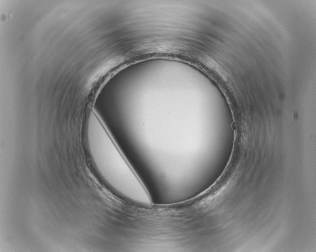 X0000088920922200706080846