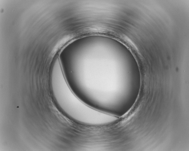 X0000088920930200706080846