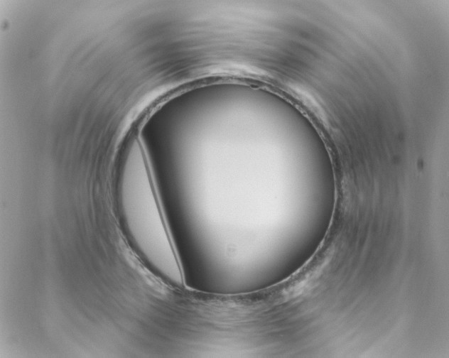 X0000088920931200706080846