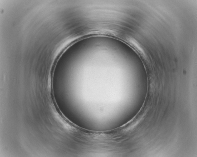 X0000088920940200706080847