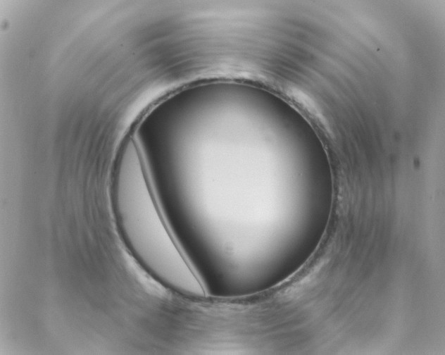 X0000088920942200706080847
