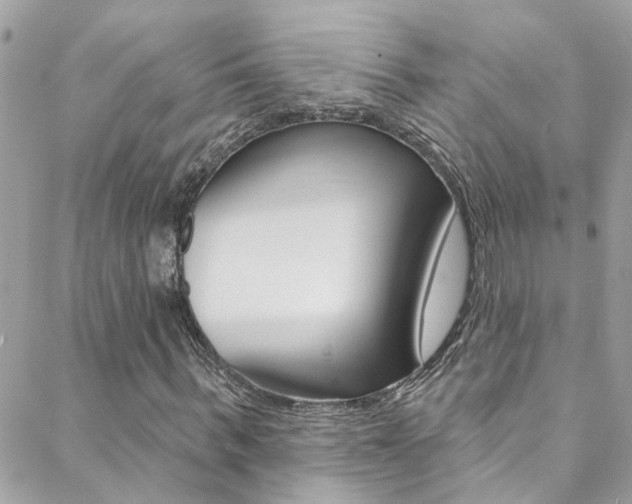 X0000088920963200706080846