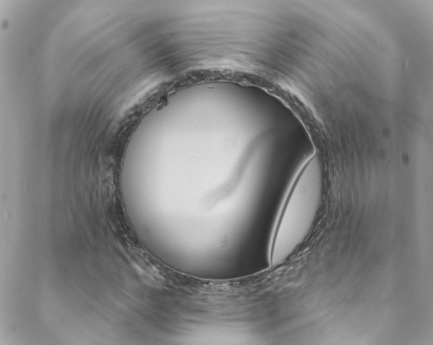 X0000088920968200706080846