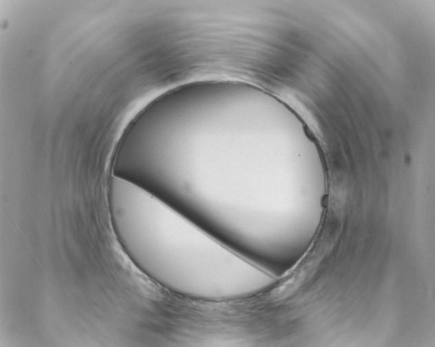 X0000088921004200706080845