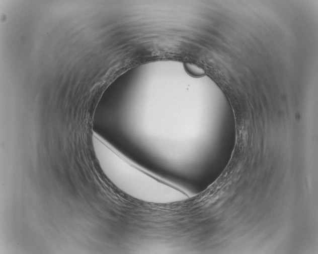 X0000088921012200706080845