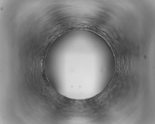 X0000088921013200706080845