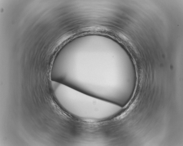 X0000088921017200706080845