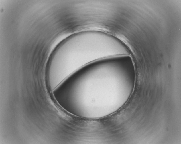 X0000088921024200706080845