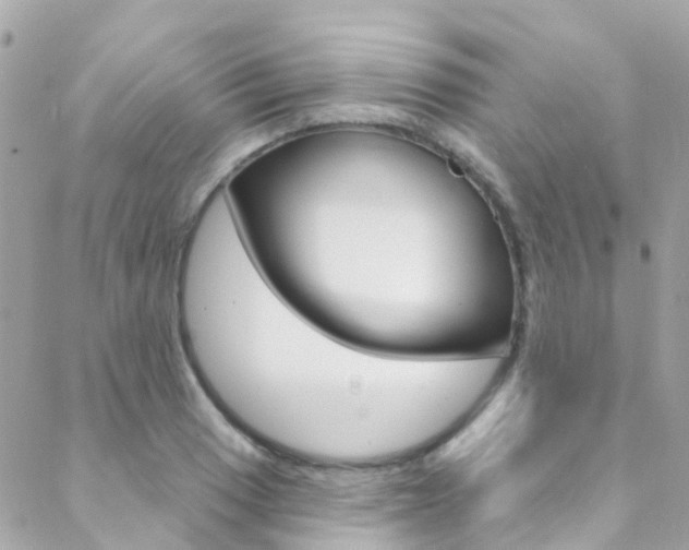 X0000088921033200706080845