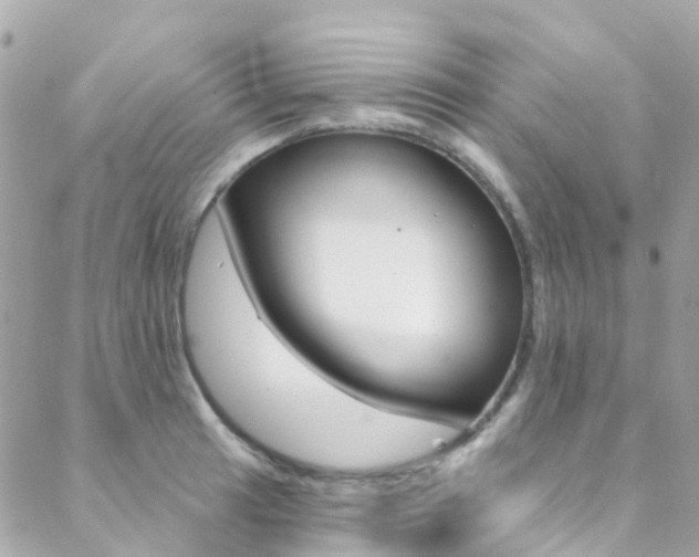 X0000088921041200706080845