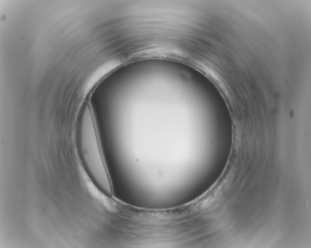 X0000088921042200706080845