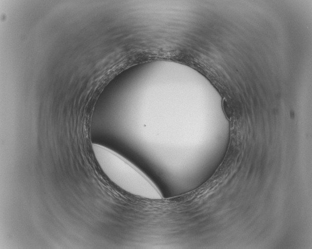 X0000088921058200706080845